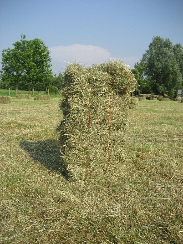 hooi voor alpaca's, Dieren en Toebehoren, Ophalen