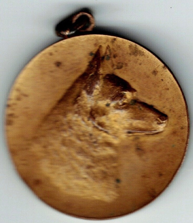 Medaille Club du Chien Utile Novices 1914, Verzenden, Overige materialen