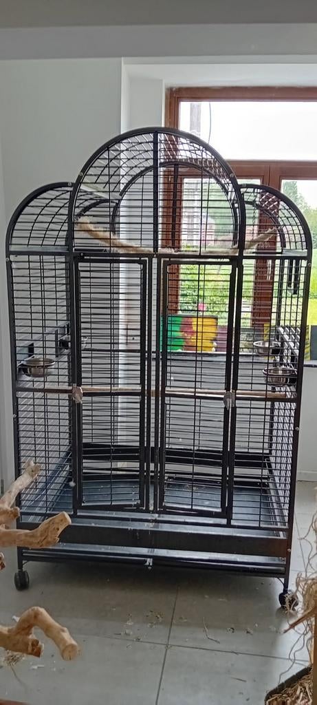 Cage pour perroquet