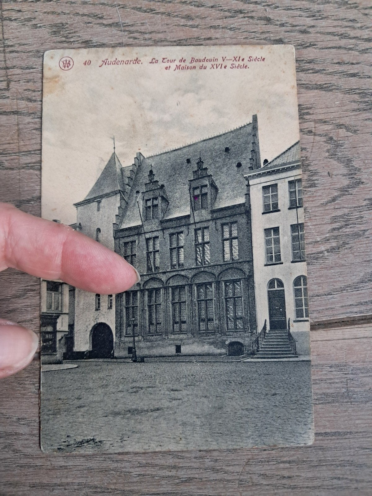 description du parc : Audenaarde, Parme, maison + tour, Enlèvement ou Envoi