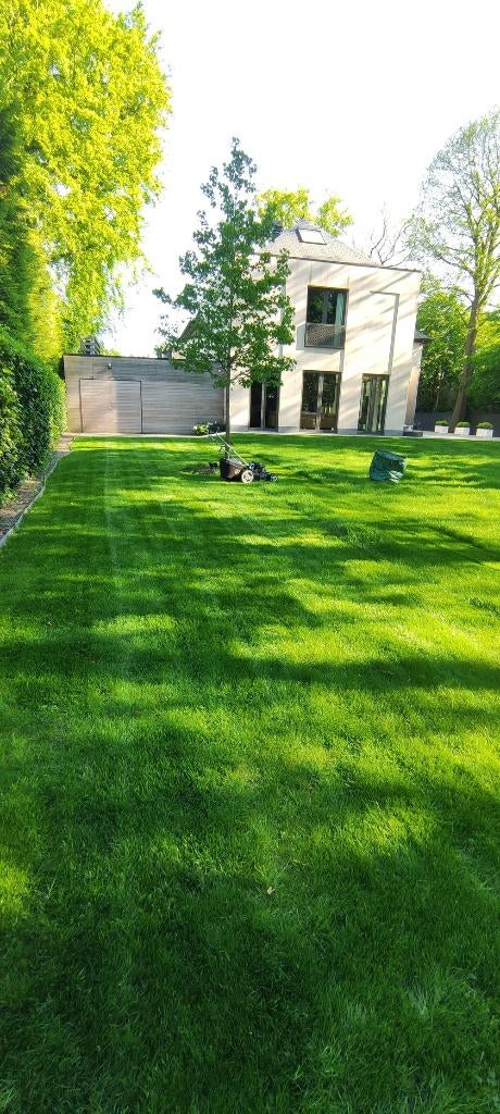 Tuinman , grasperken aanleggen, onderhoud ect, Tuinonderhoud of Snoeiwerk