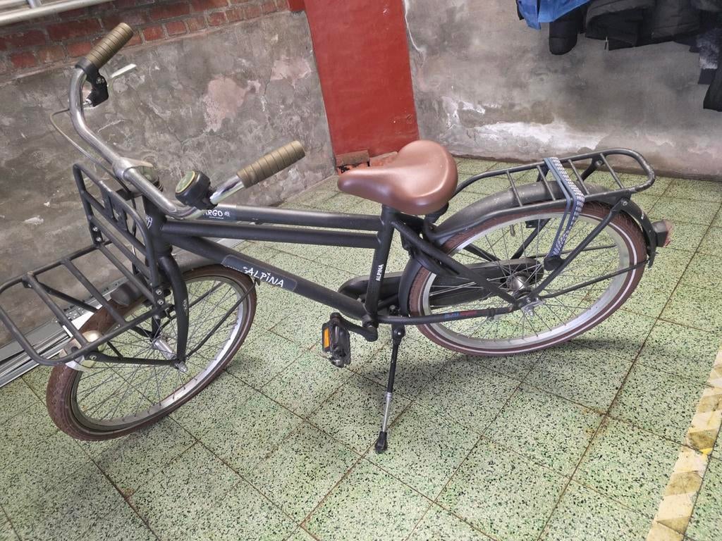 Alpina fiets, Ophalen, 22 inch
