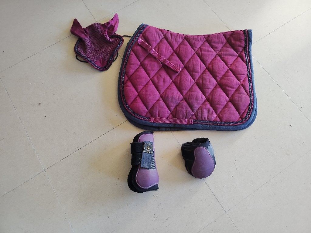 Paarden dekje, BR, Utilisé, Tapis polyvalent, Enlèvement