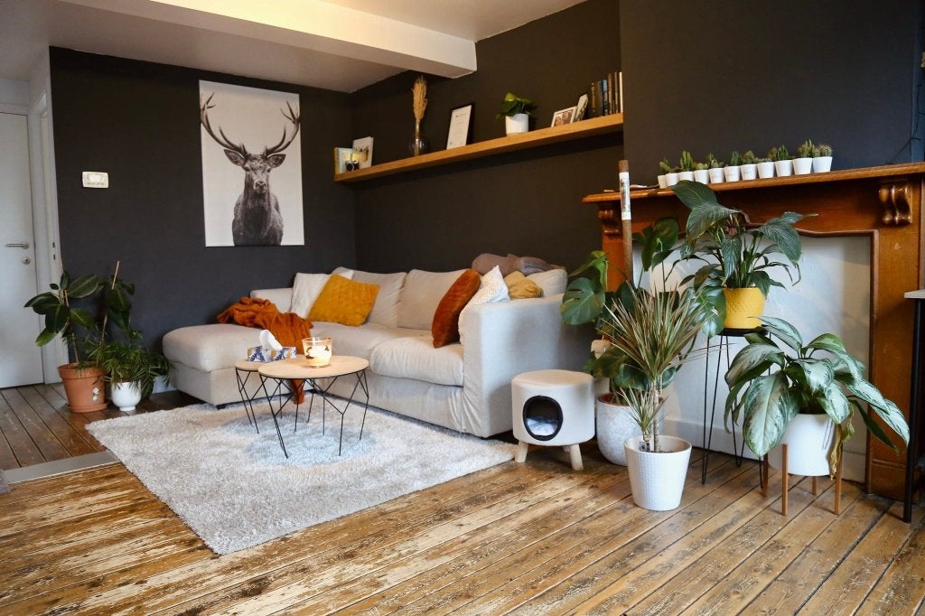 Duplex Appartement Te Huur, 50 m² ou plus, Bruges