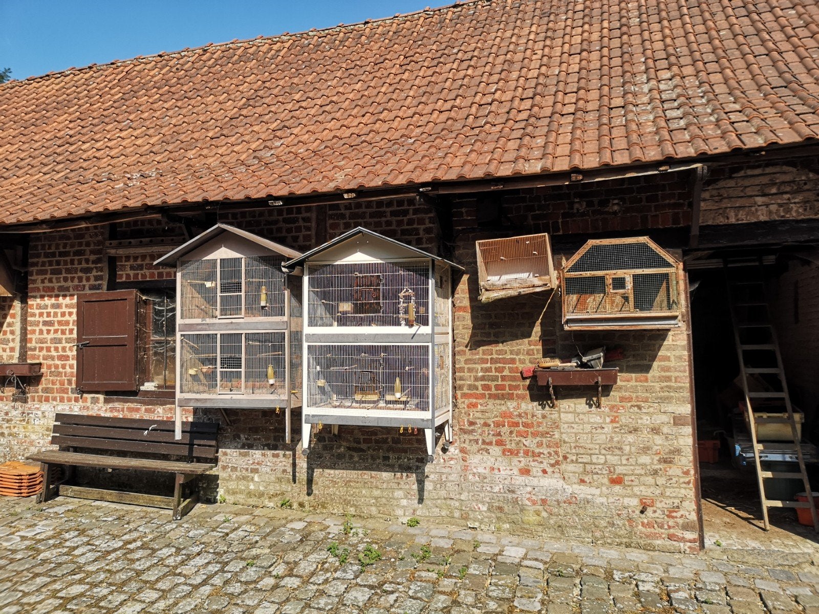 Gratis vogelkooien, Dieren en Toebehoren, Ophalen