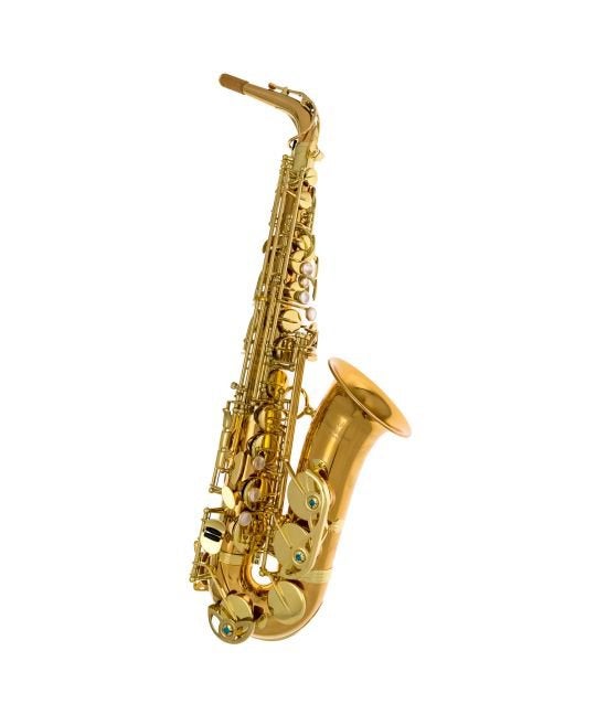 Yanagisawa A-WO2 met 2 jaar garantie en onderhoud, Enlèvement, Utilisé, Alto, Avec valise
