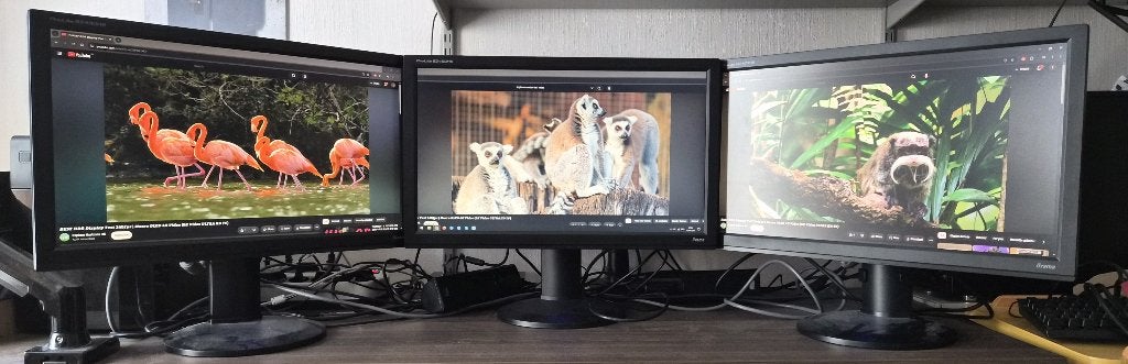 3x iiyama ProLite B2480HS-B1 TN 23.6" Monitor, Ophalen, DVI, Gebruikt, Full HD