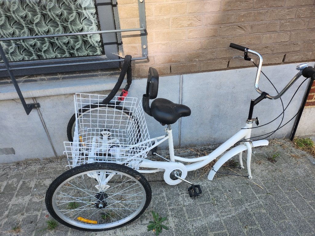 Velo 3 roues adulte, Enlèvement, Utilisé, Frein à disque, Sans marque
