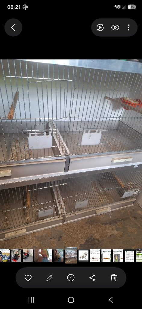 Kweekkooien, Dieren en Toebehoren, Ophalen, Zo goed als nieuw, Kunststof, Broedkooi of Kweekkooi