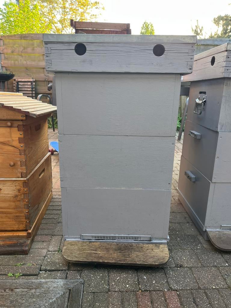 Ruche simplex, Animaux & Accessoires, Insectes & Araignées, Abeilles