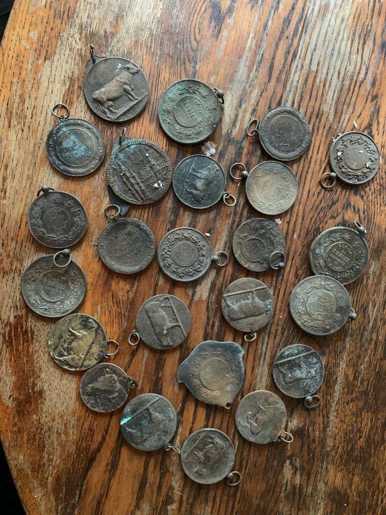 Medailles, Ophalen of Verzenden, Brons