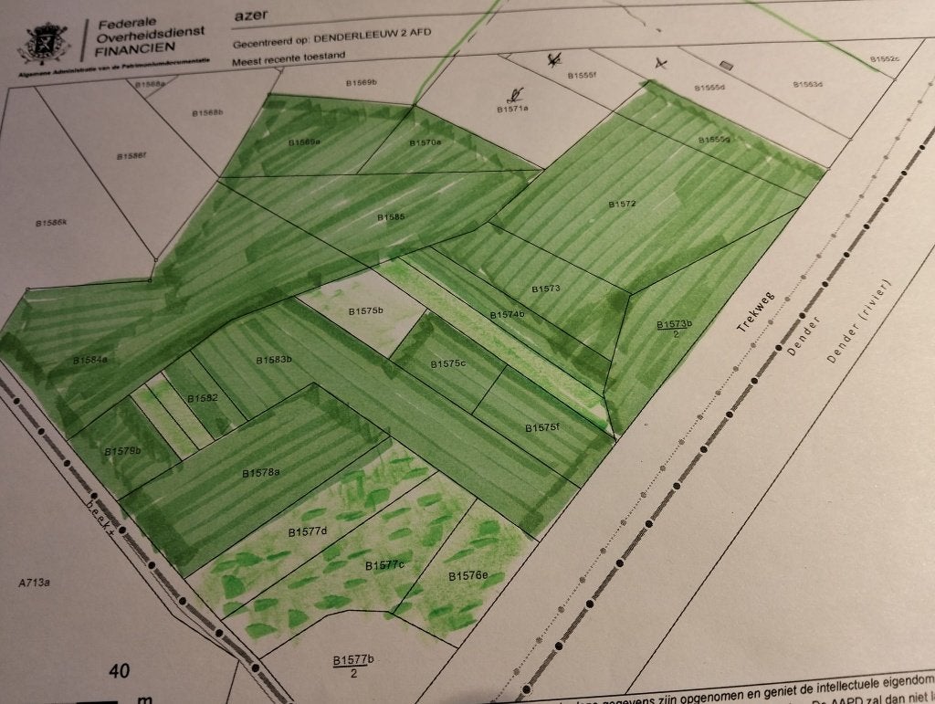 Weide 2ha + 1ha extra, Denderleeuw, Ventes sans courtier, 1500 m² ou plus