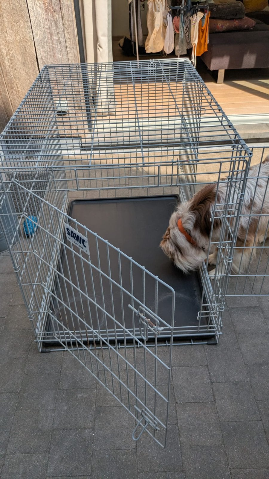 Super grande cage XXL Savic pour chien.nes, Enlèvement, Utilisé