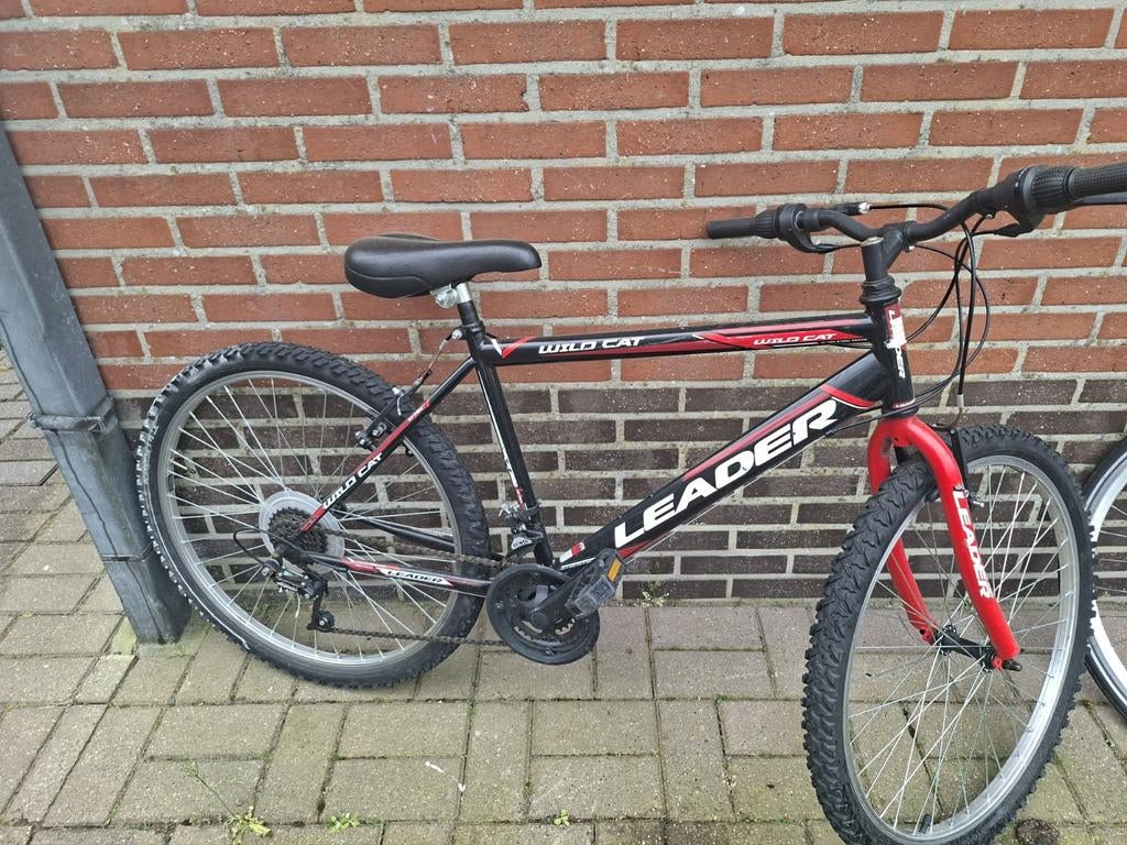 Mountainbike witte 24 inch  rode 26 inch, Fietsen en Brommers, Ophalen