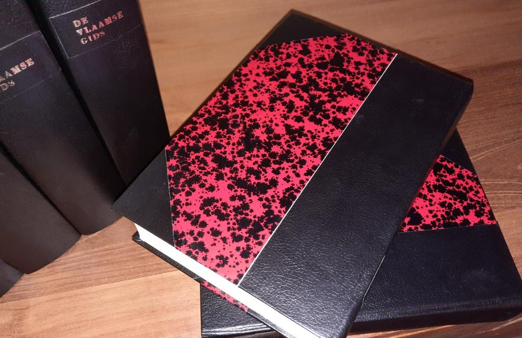 De Vlaamse Gids, Boeken, Ophalen, 20e eeuw of later, Zo goed als nieuw