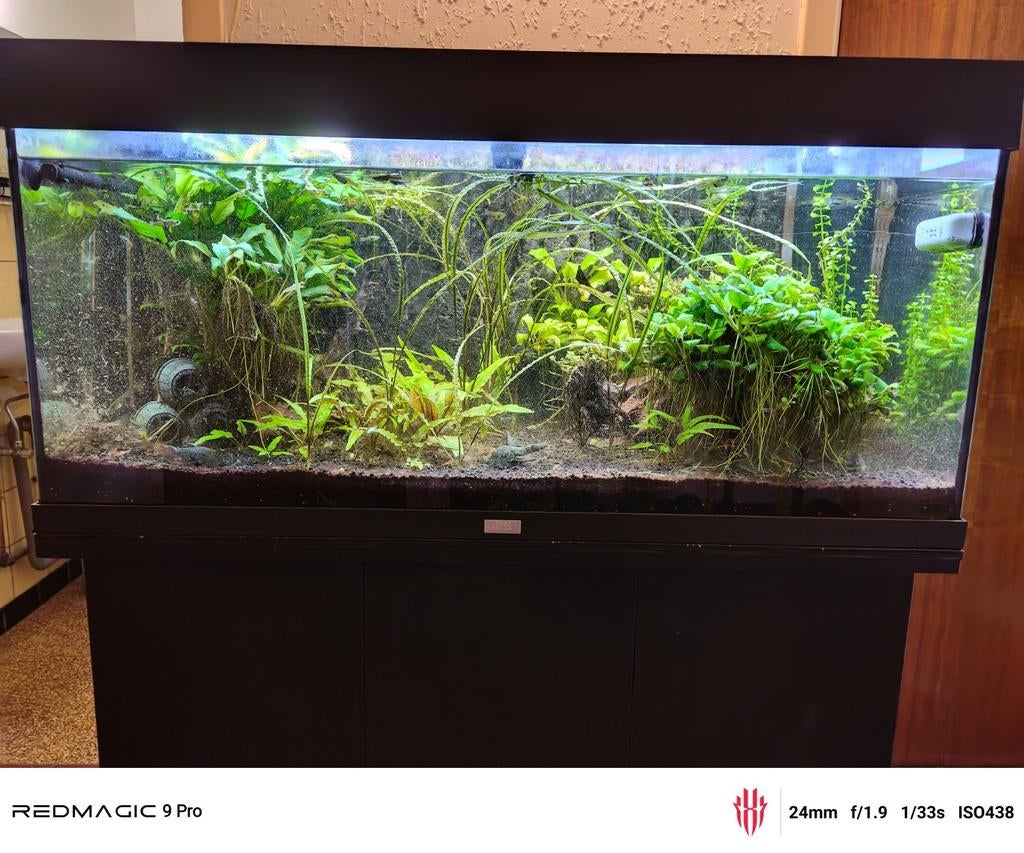 Aquarium complet + accessoires, Enlèvement, Utilisé, Juwel, Aquarium d'eau douce rempli