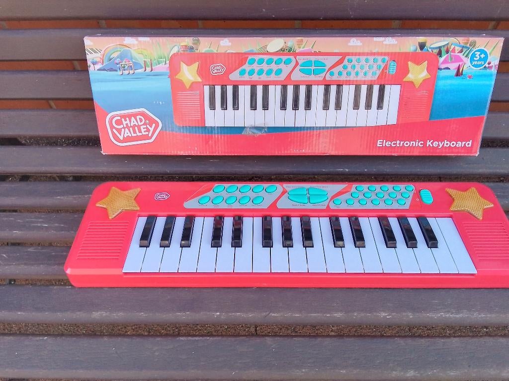 Electronic keyboard, Muziek en Instrumenten, Ophalen