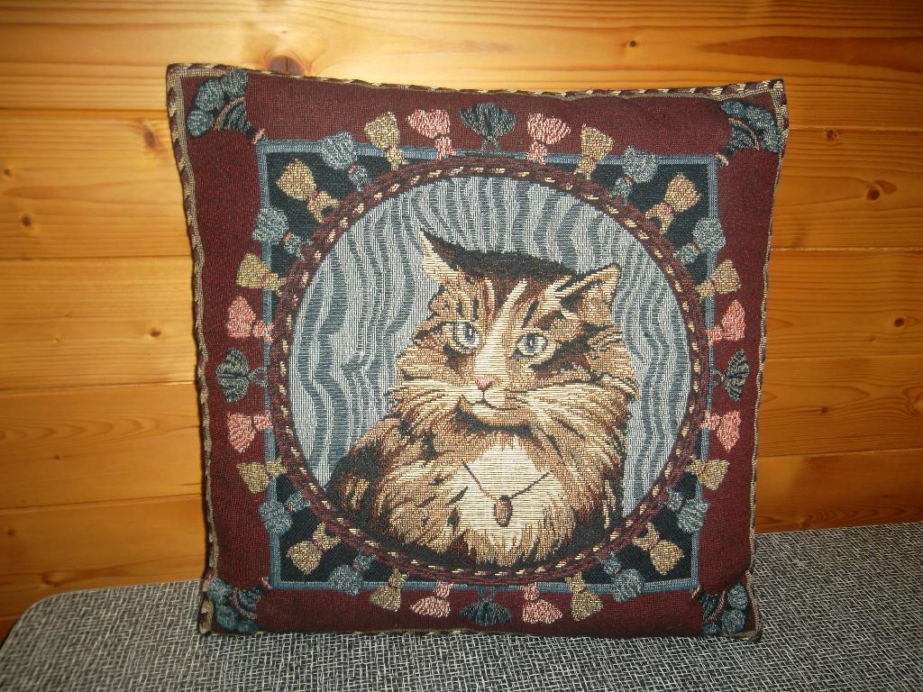 Kussen met poes, Ophalen of Verzenden, Zo goed als nieuw