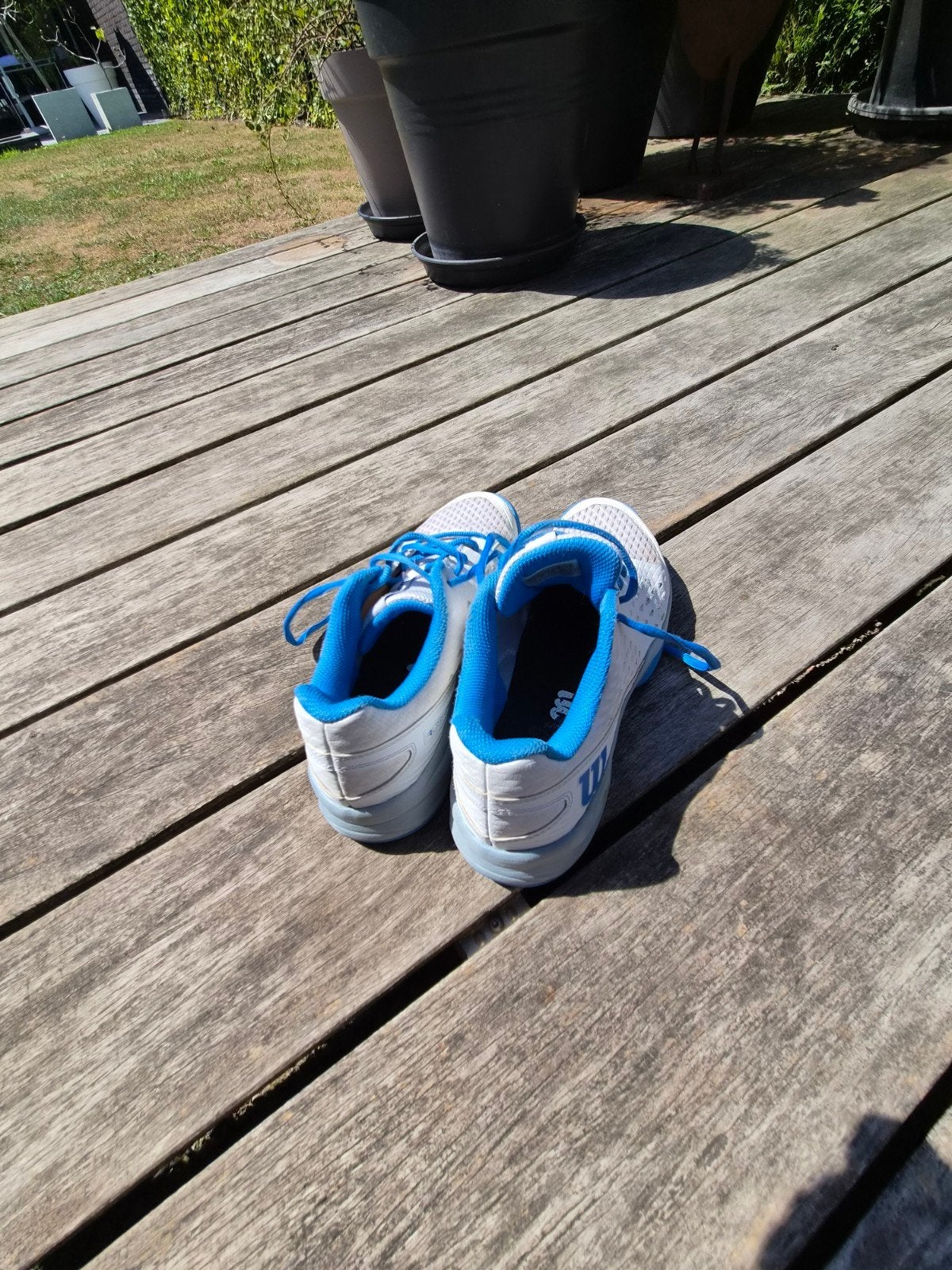 Tennisschoen Wilson indoor/gladde zool, Sport en Fitness, Ophalen