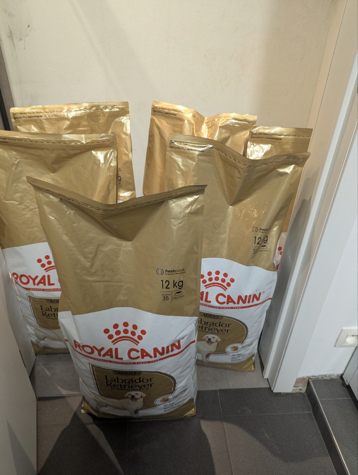 Royal Canin 12kg Labrador, Animaux & Accessoires, Enlèvement