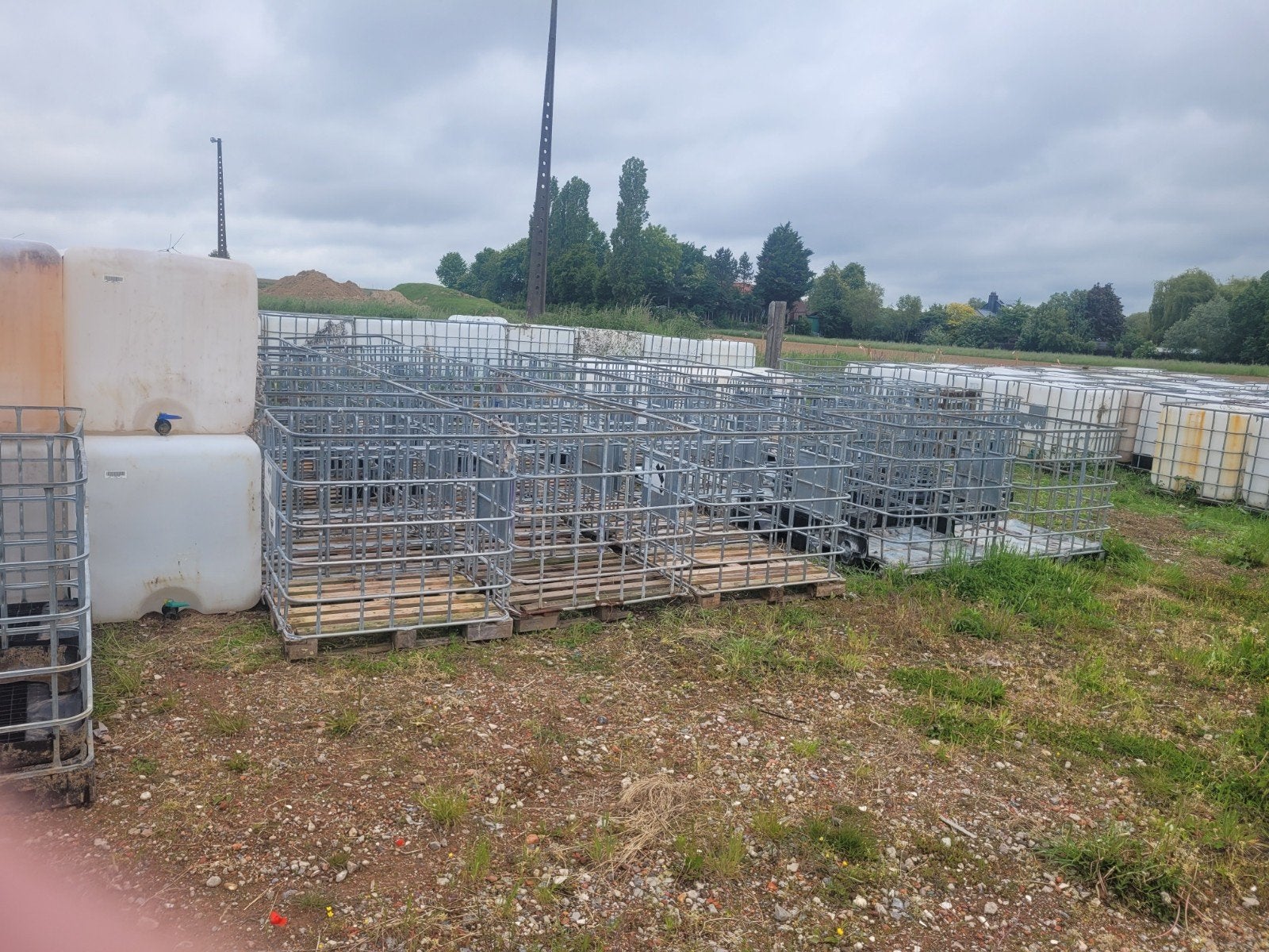 Ibc kooien op pallet 23 euro, Ophalen