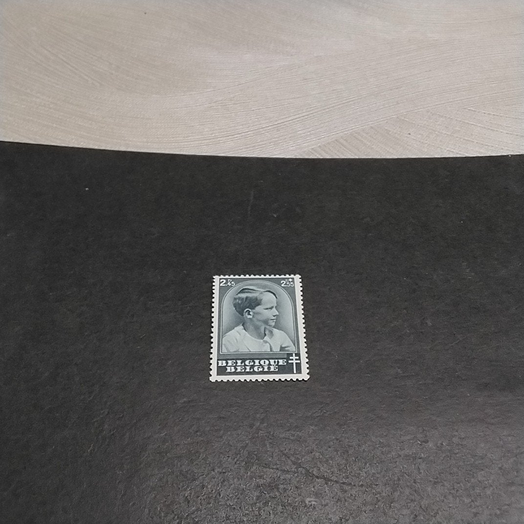 BELGIE 446 postfris met cote 6,50 €, Ophalen of Verzenden, Postfris