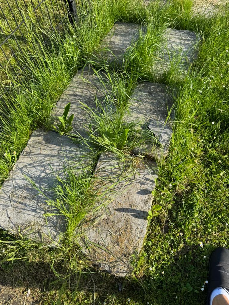 6 stenen platen om weg te geven, Ophalen