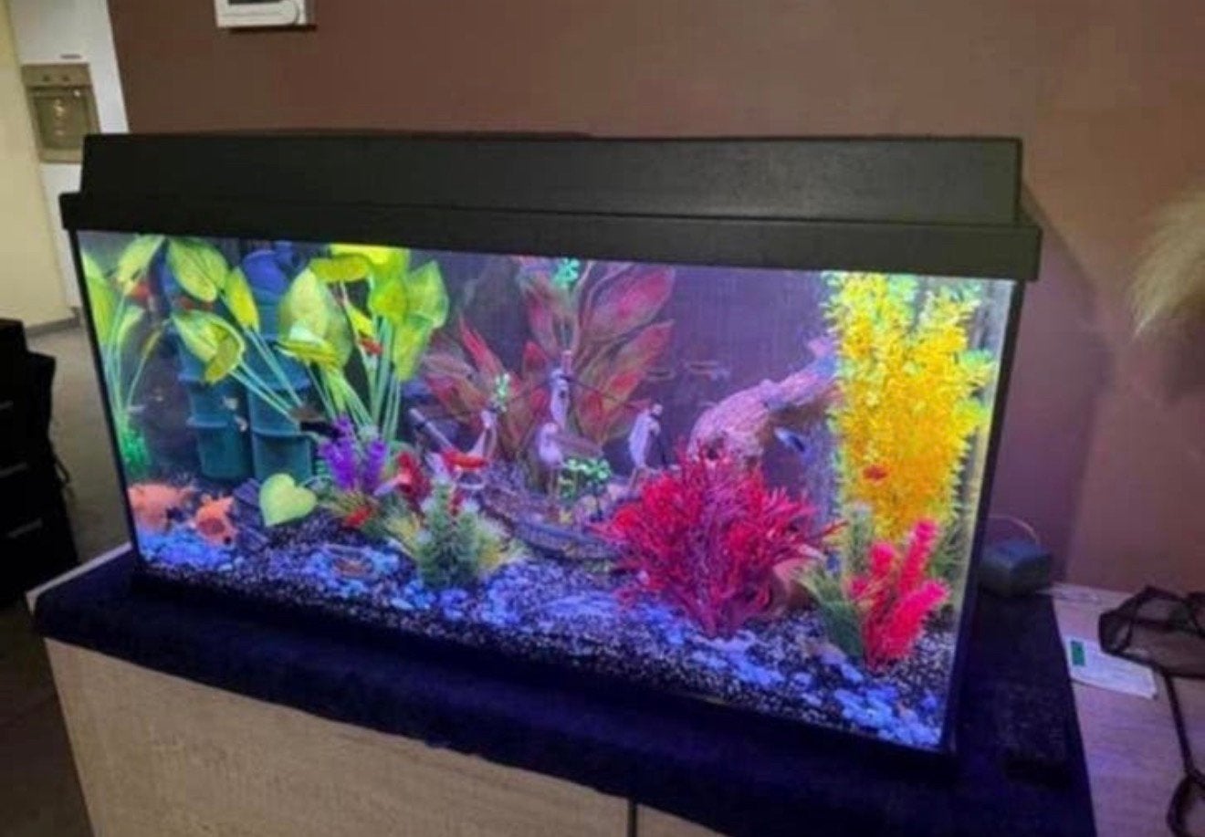 Aquarium zonder inhoud, Ophalen, Zo goed als nieuw