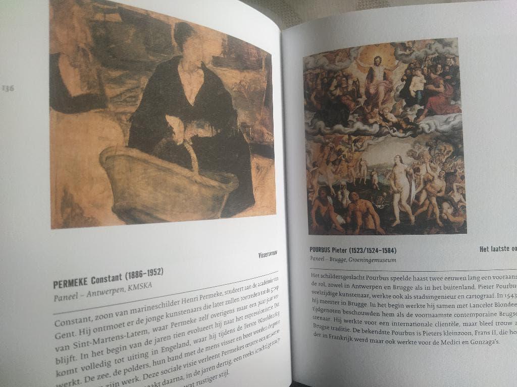 boek: de Belgische kunstcollectie, Ophalen of Verzenden, Zo goed als nieuw, Schilder- en Tekenkunst
