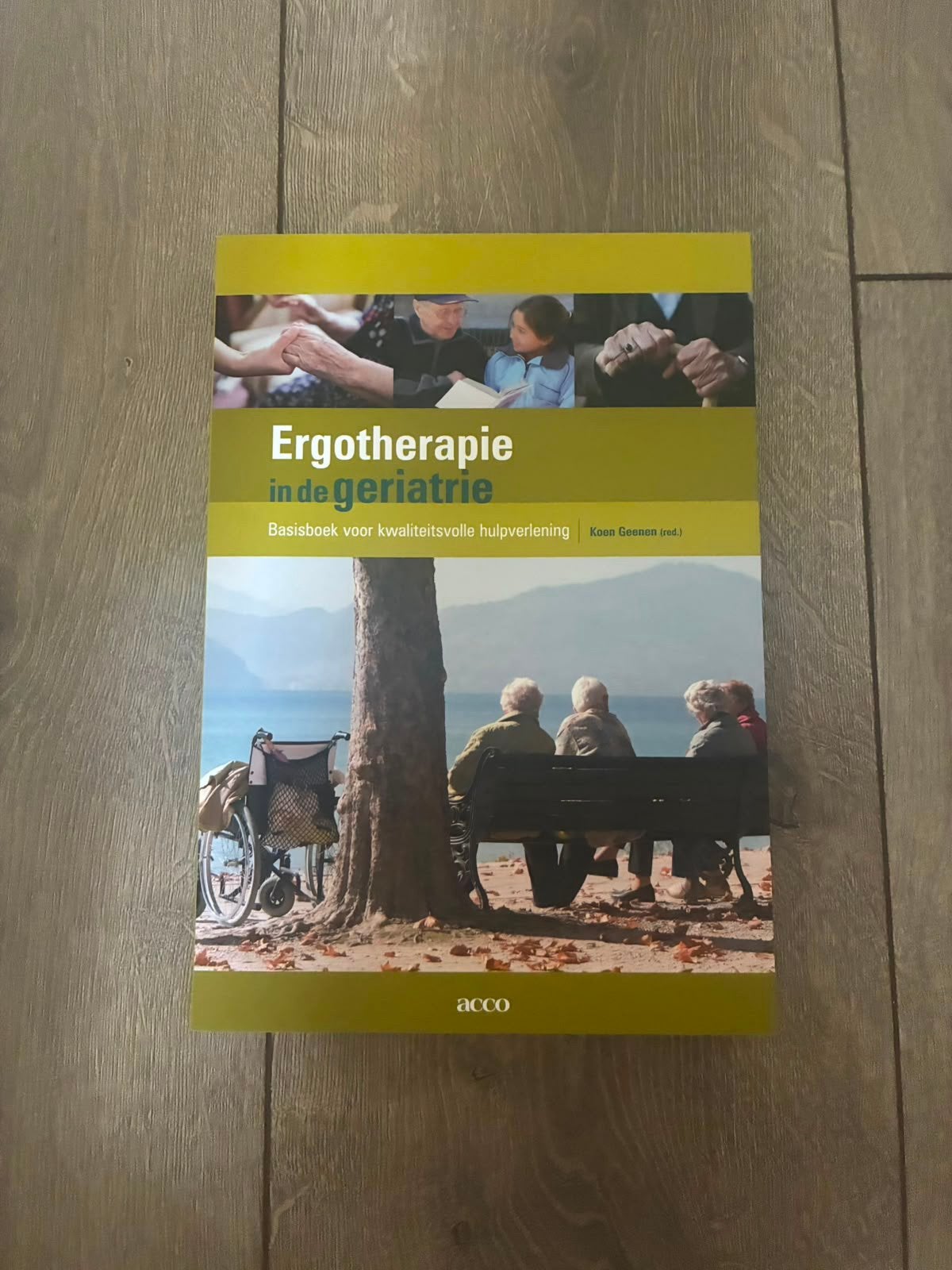 Ergotherapie in de geriatrie, Boeken, Ophalen of Verzenden, Nederlands