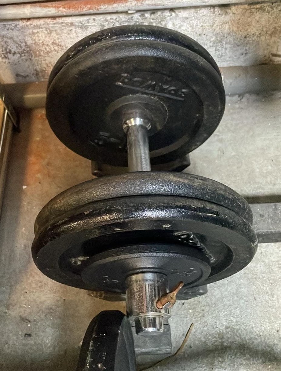 Deux halteres 24,5 kg, Sports & Fitness, Enlèvement, Comme neuf