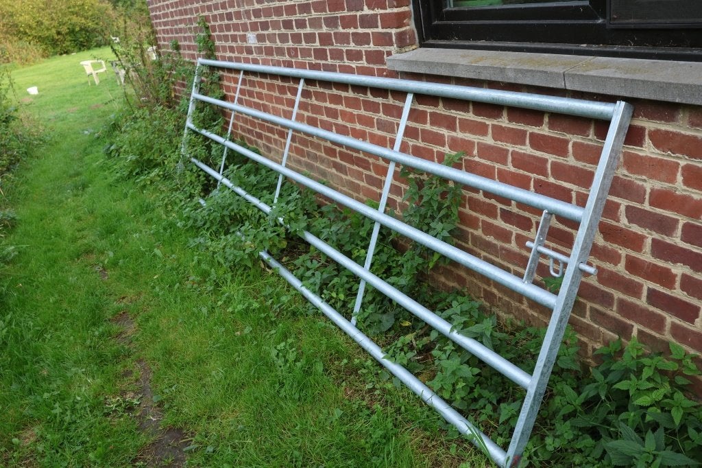 Zware weidepoort, Weidegang, 4 paarden of pony's of meer
