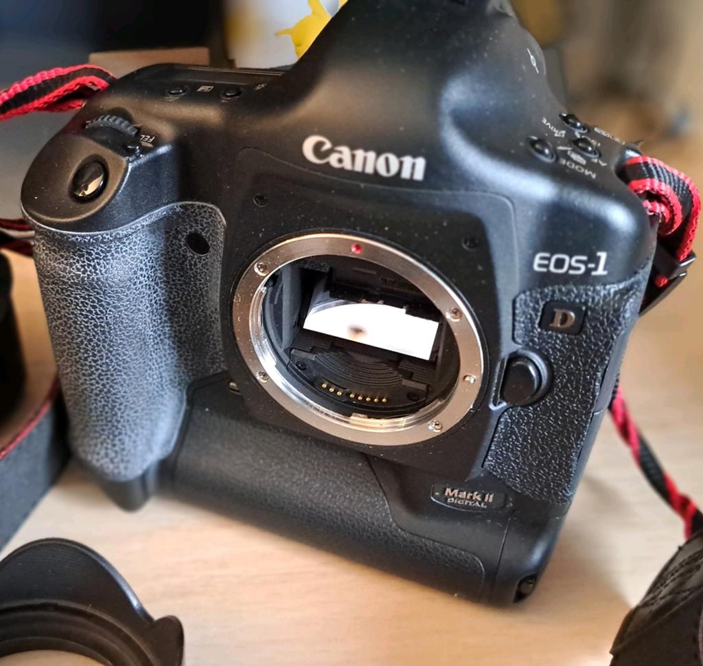 Canon eos 1D mark II boîtier uniquement, Enlèvement ou Envoi, Comme neuf, Canon