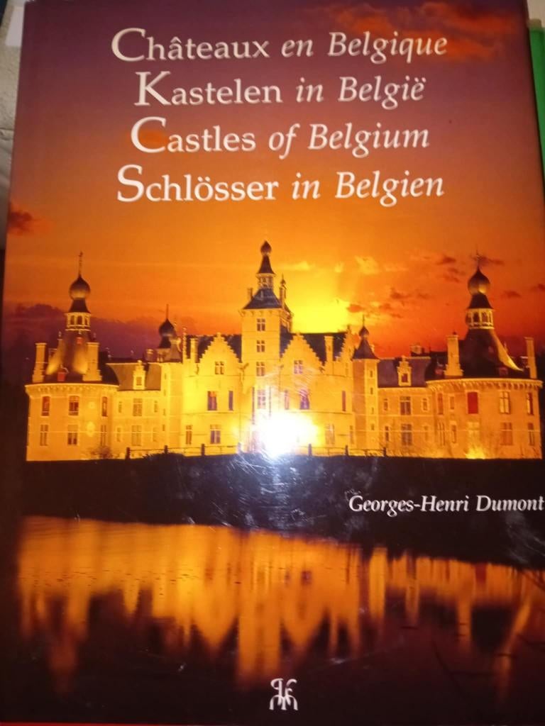 boek kastelen in belgie, Ophalen of Verzenden, Zo goed als nieuw, Georges henri dumont