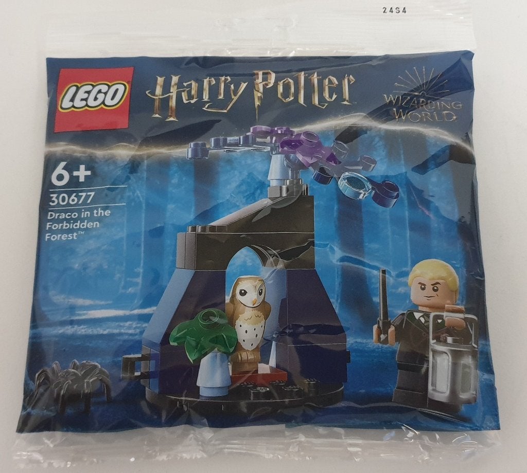 LEGO 30677 Draco dans la forêt interdite - NEUF ET SCELLÉ, Neuf, Enlèvement ou Envoi, Lego, Ensemble complet