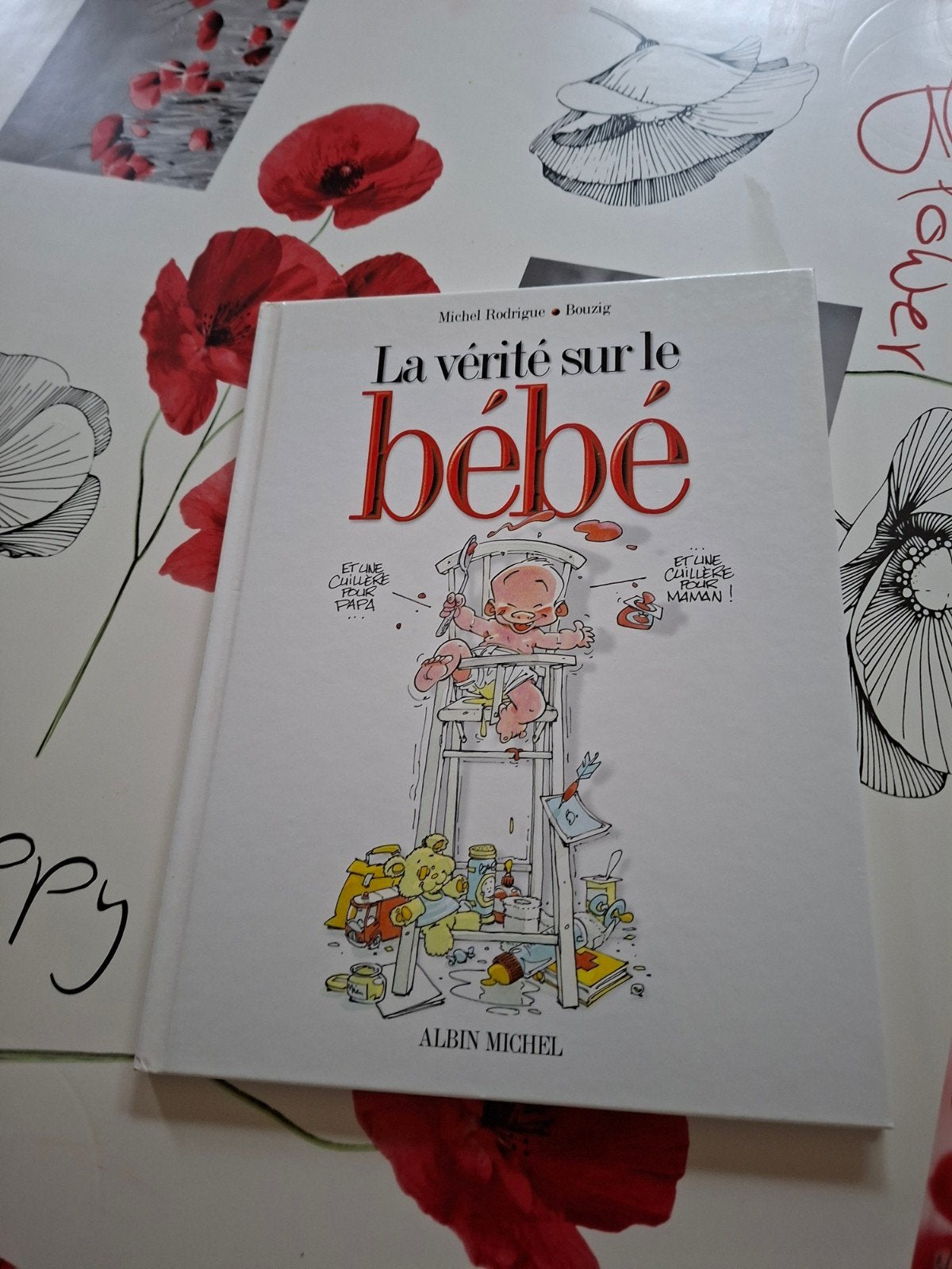 BD.  La vérité sur le bébé.  M. Rodrigue. Bouzig., Livres, Enlèvement ou Envoi