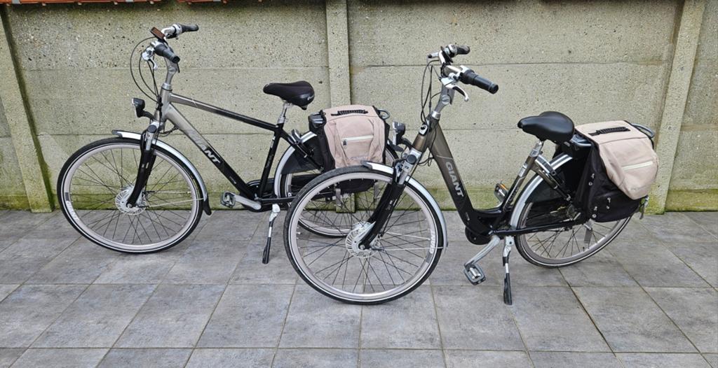2 Prachtige Elektrische Giant Twist Go Double Fietsen, Fietsen en Brommers, Elektrische fietsen, Ophalen, Zo goed als nieuw, Giant