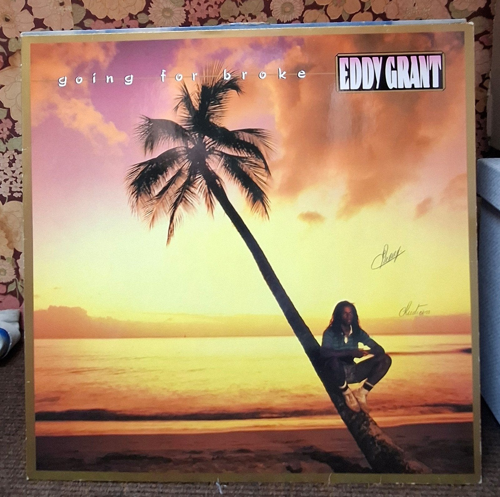 Lp Eddy Grant, CD & DVD, Vinyles | Rock, Utilisé, 12 pouces, Autres genres