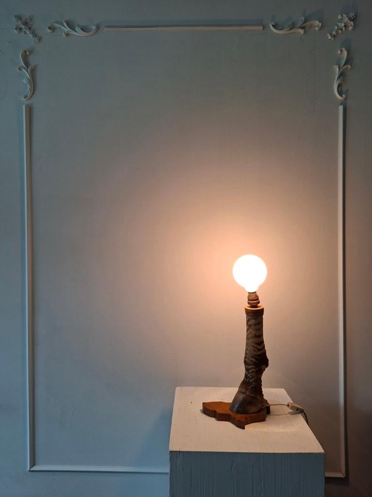 Taxidermy zebra lamp, Enlèvement