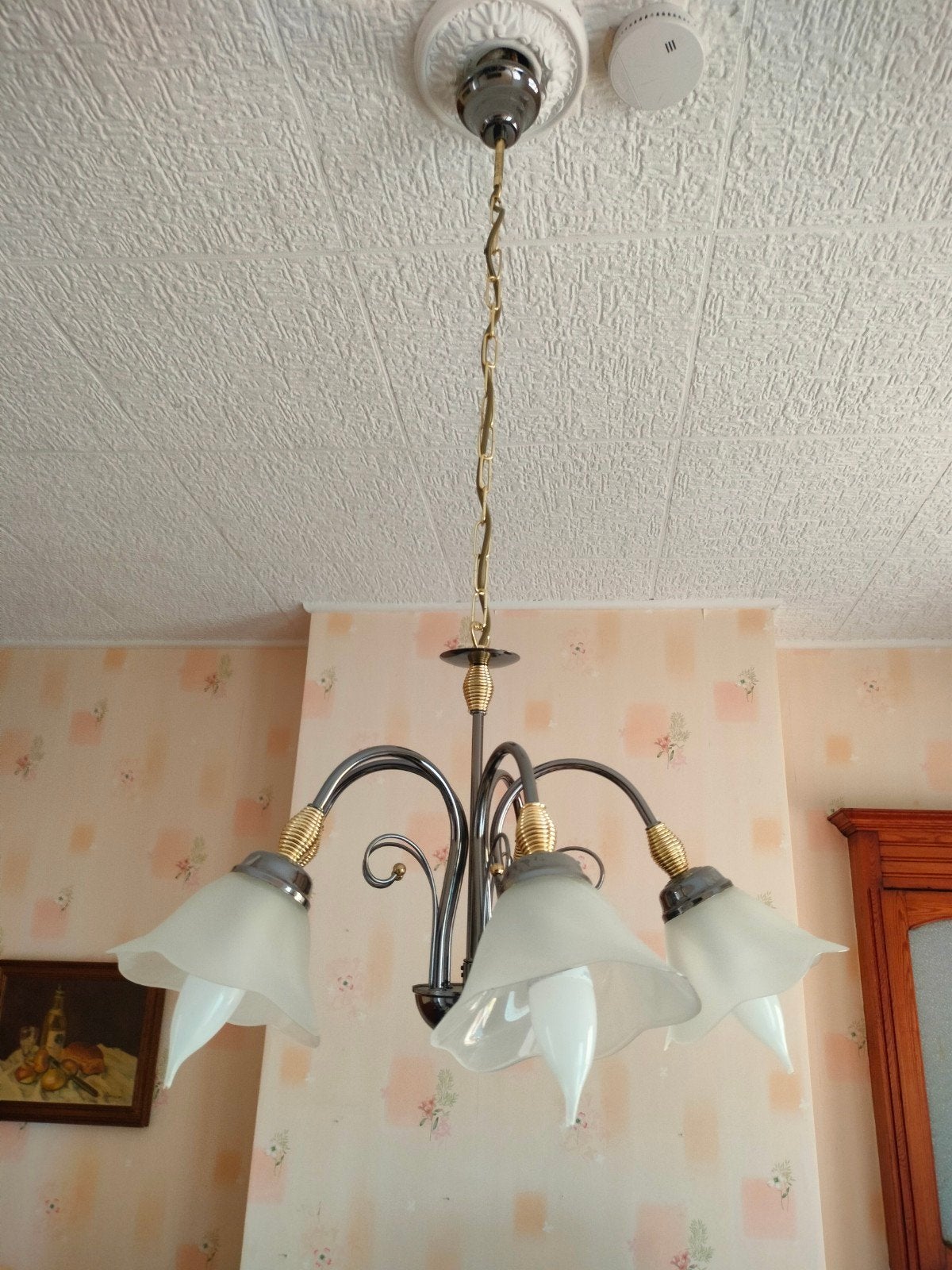 Lustre, Luminaire, Suspension., Enlèvement