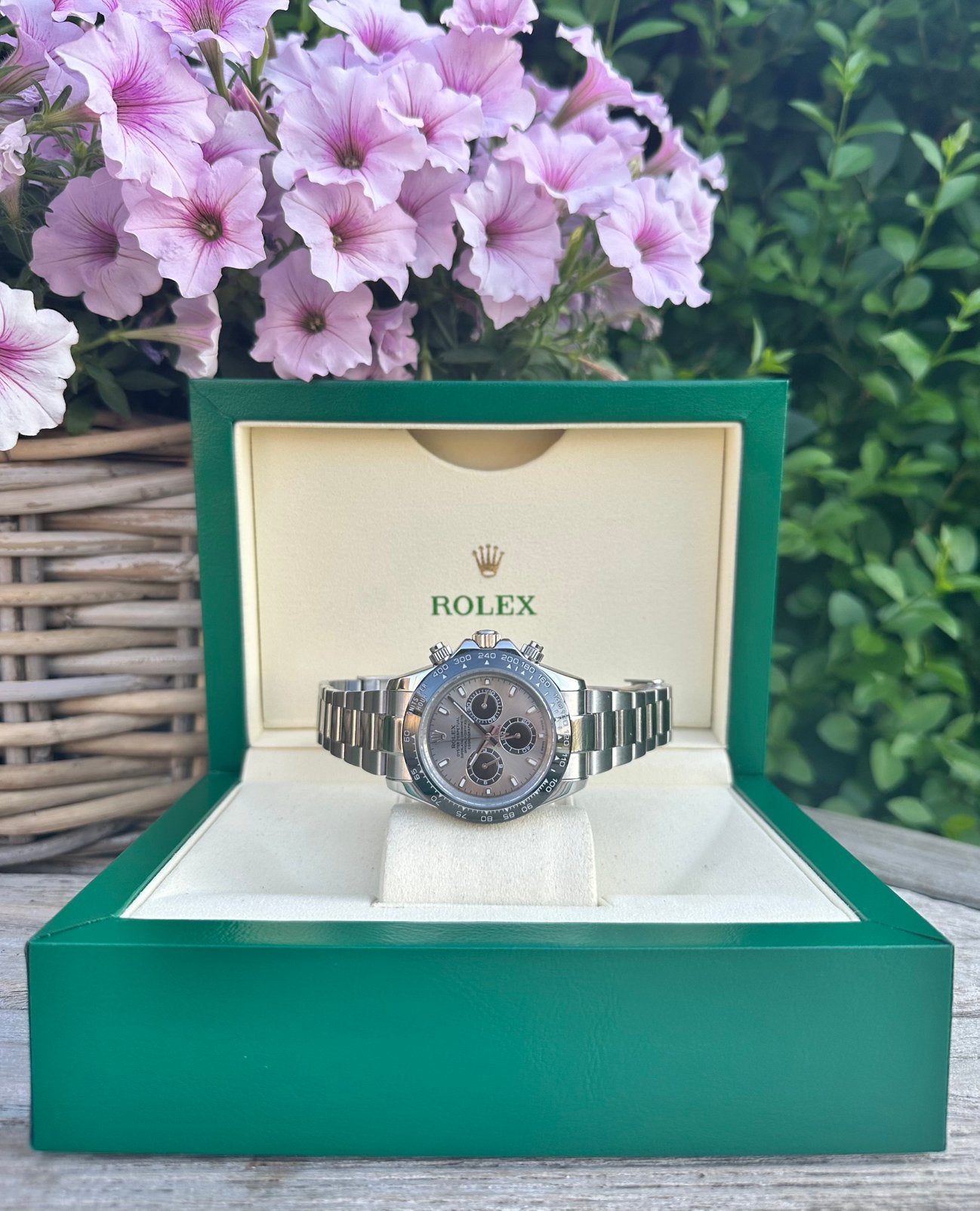 Rolex Daytona, Ophalen of Verzenden, Nieuw, Zilver, Rolex