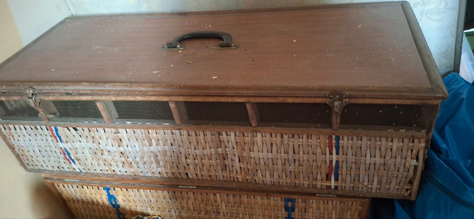 Duivenmand met 6 vakken
Er is wat werk aan zie foto's 
Er is, Dieren en Toebehoren, Ophalen of Verzenden, Gebruikt, Hout, Overige typen