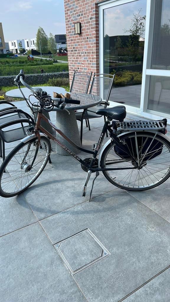 Dames fiets, Gebruikt, Velgrem, Versnellingen, 61 tot 65 cm
