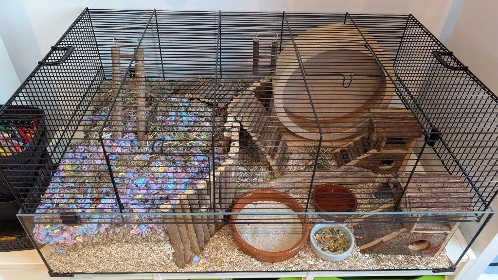 Compleet pakket dwerghamster kooi + alle toebehoren, Kooi, Zo goed als nieuw, Hamster, 75 tot 110 cm