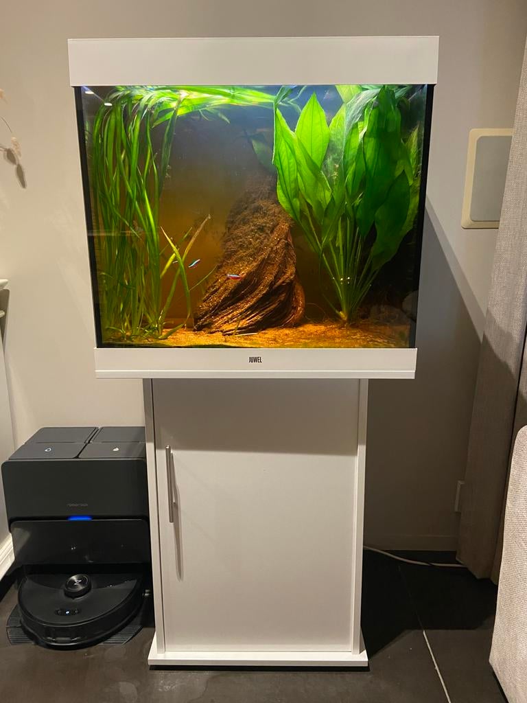 Aquarium Juwel 200L, Ophalen, Gebruikt