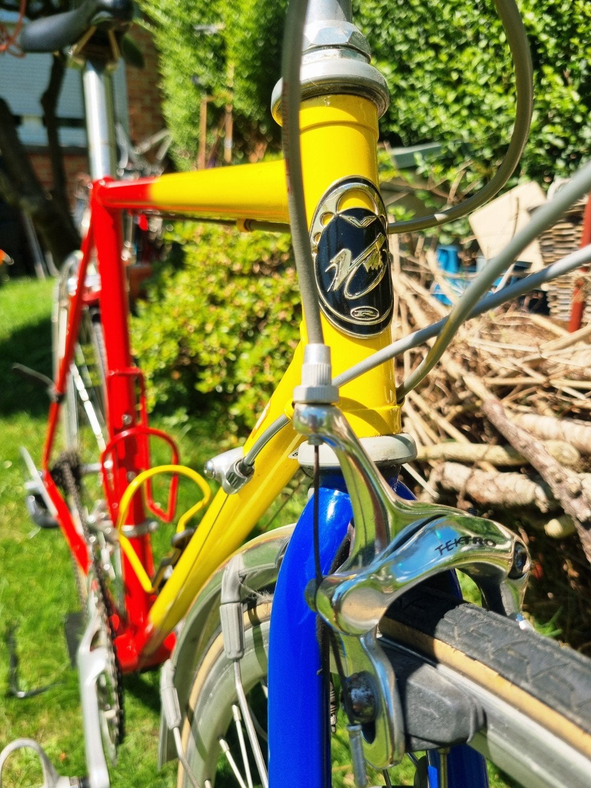 Vélo italien de course 100% d'origine,, Vélos & Vélomoteurs, Vélos | Ancêtres & Oldtimers, 51 à 55 cm, Frein sur jante, Veneto