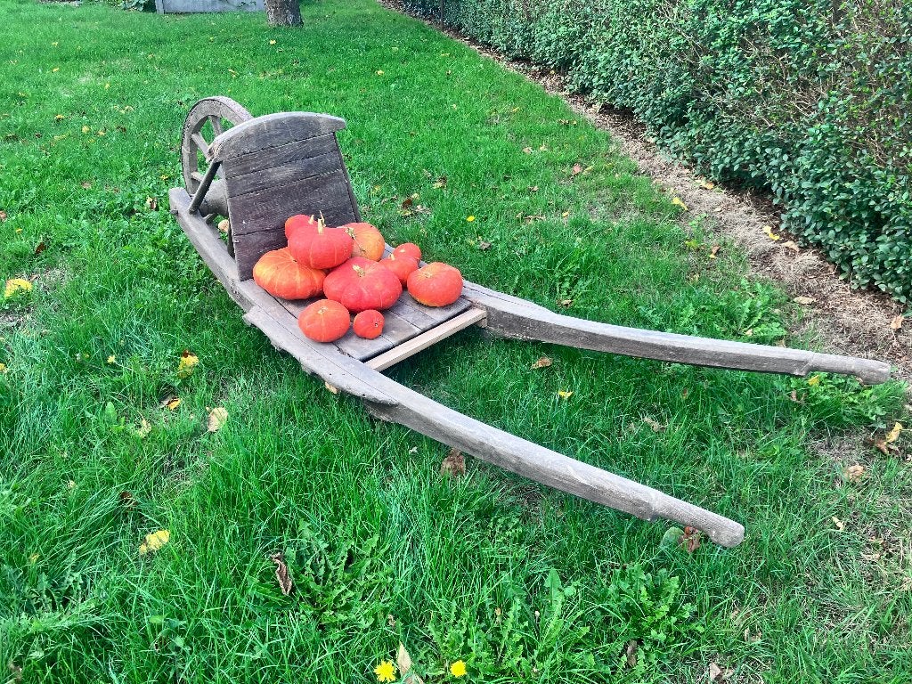Antieke Kruiwagen (Kortwagen), Jardin & Terrasse, Brouettes, Enlèvement, Utilisé