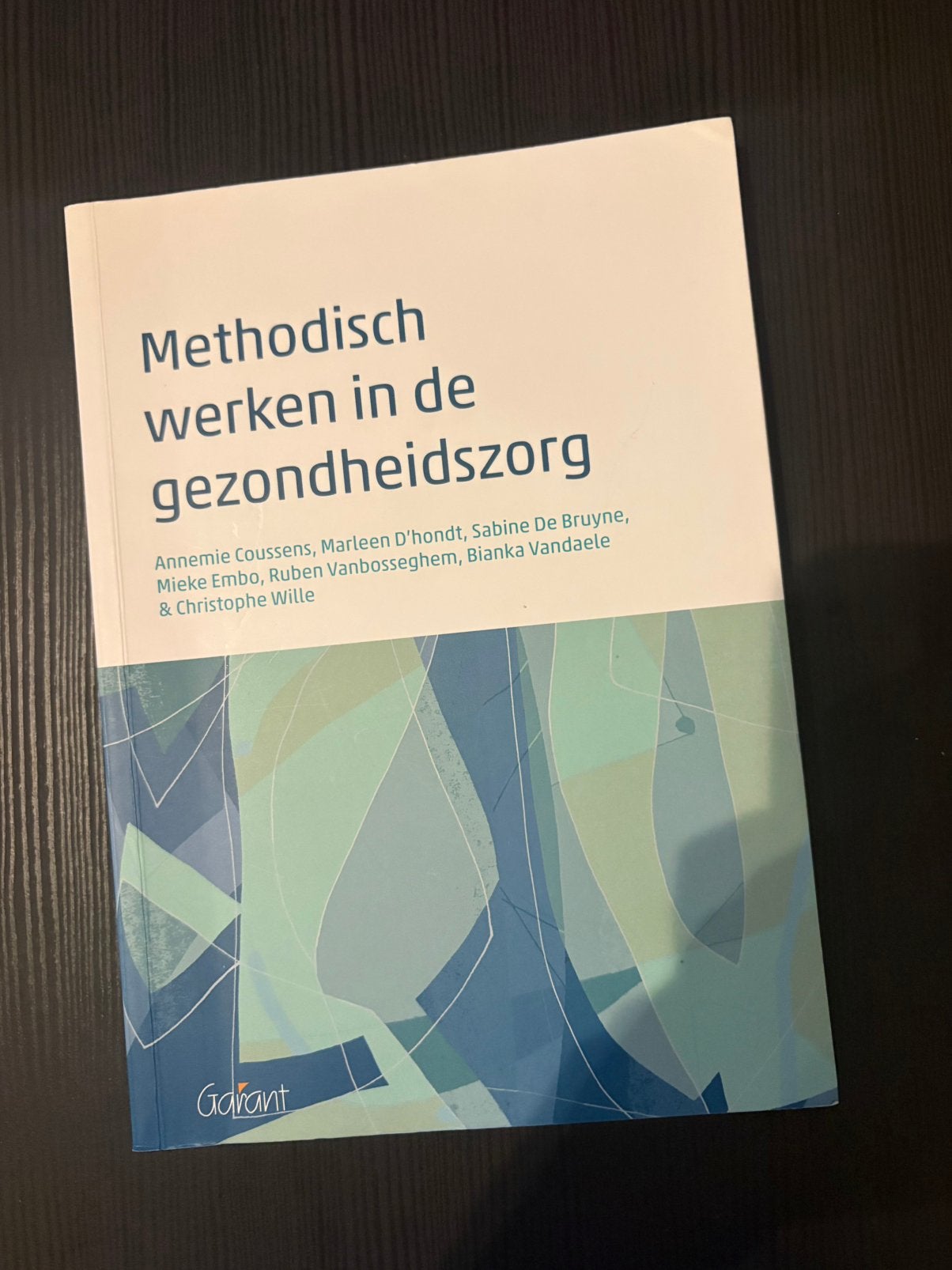 Methodistisch werken in de gezondheidszorg Mondzorg, Boeken, Economie, Management en Marketing, Ophalen of Verzenden, Zo goed als nieuw