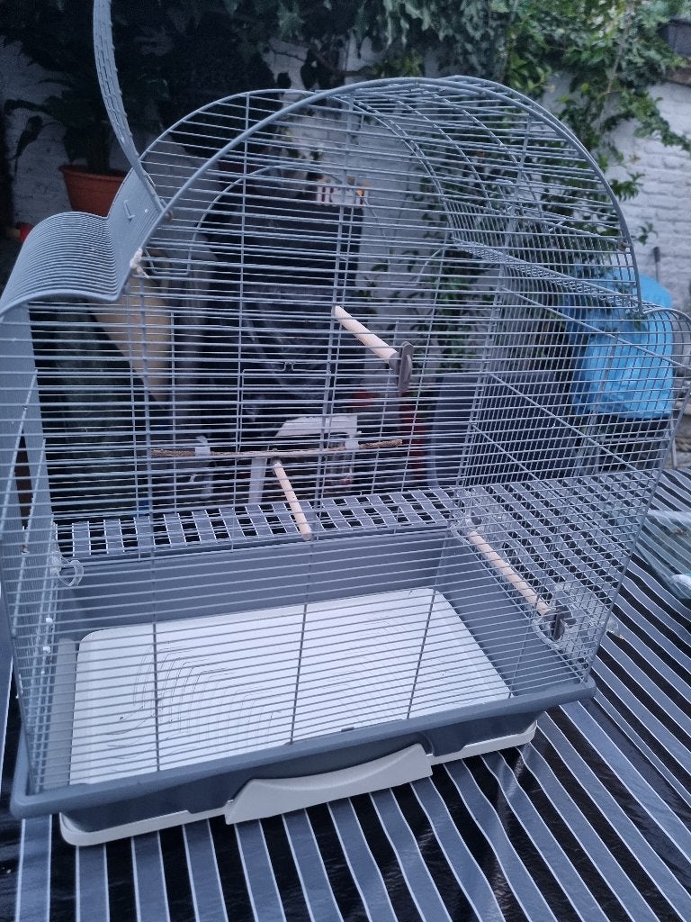 Vogelkooi in perfecte staat, Animaux & Accessoires, Enlèvement, Comme neuf, Cage à oiseaux