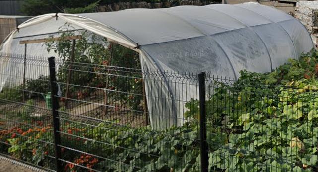 tunnelserre, Tuin en Terras, Kassen, Gebruikt, Folie, Kweekkas, Ophalen